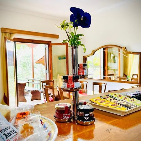 Villa Evita Corfu 다시아 외부 사진